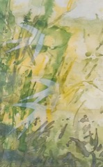 Disappearing Swallows 4
