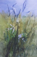 Disappearing Swallows 6
